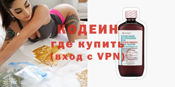 дживик Инта