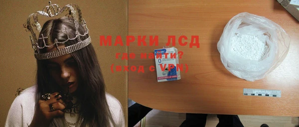 дживик Инта