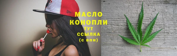 дживик Инта