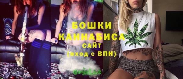 мдпв Иннополис