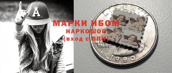дживик Инта