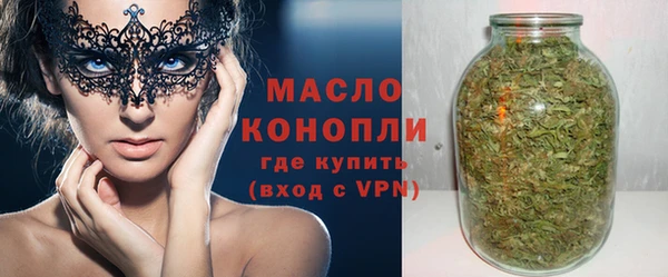 дживик Инта