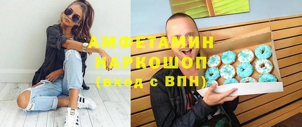 дживик Инта