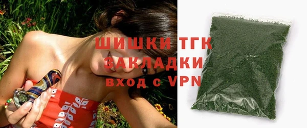 дживик Инта