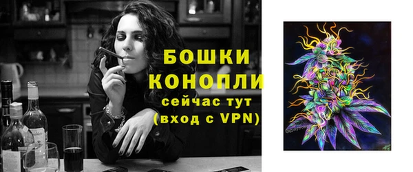 мдпв Иннополис