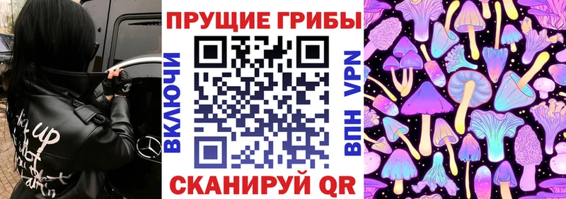 Галлюциногенные грибы Magic Shrooms  Купить  Сорочинск 